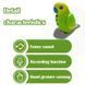 Интерактивный попугай Funny Parrot для речевых навыков TT8005 Желтый TT8005YELL фото 4