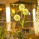 Садовий ліхтар на сонячній батареї Кульбаби Dandelion Garden Lights DAN600 фото 6