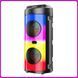 Портативная Bluetooth колонка 2х6.5​​​​​​​" с RGB подсветкой, микрофоном и пультом ДУ&nbsp;ZQS4248 ZQS4248 фото 5