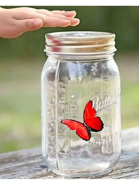 Декоративний нічник Метелик у банку Butterfly Інтерактивний метелик, що пурхає, в банку з підсвічуванням BUTT90 фото