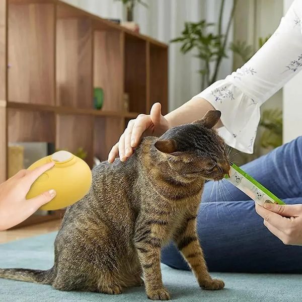 Щетка массажная для ухода за шерстью животных 4 в 1 ПАРОВАЯ Pet comb AND924 фото